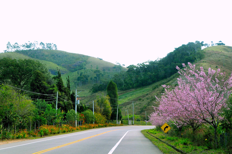 Estrada Friburgo-Teresópolis (Foto: Arquivo AVS)