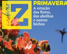 Primavera: tempo de flores, cheiros, cores, abelhas e borboletas