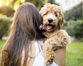 Animais com pelos ficam bem na foto