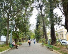 Defesa Civil fará poda emergencial na Praça Getúlio Vargas
