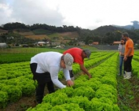 Apoio ao campo