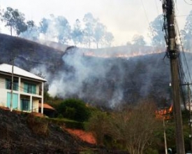 Fogo queima vegetação em bairros de Nova Friburgo