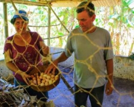 Agricultura familiar reforça a merenda escolar nas escolas estaduais