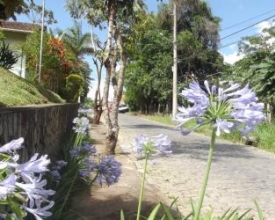 Cidade & Serviços — 11/02/2016