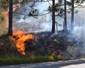Inverno deste ano teve menor registro de queimadas em relação a 2014