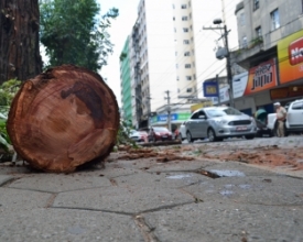 Justiça aceita denúncia contra ex-prefeito por crime ambiental