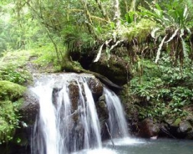 Estado ganha 18 novas Reservas Particulares de Patrimônio Natural