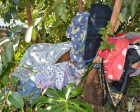 Depósito de cobertores e roupas em canteiro da praça é alvo de queixas