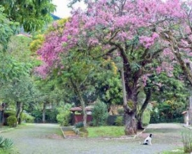 Cidade & Serviços — 24/08/2016