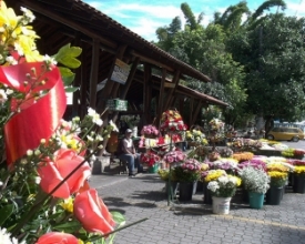 Cidade & Serviços — 20/12/2016