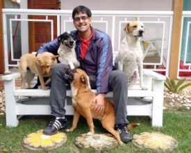 Perdeu seu animal de estimação? As redes sociais podem te ajudar