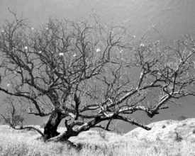 Fotografia em retrospectiva