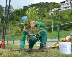 Inea dá início a projeto paisagístico às margens do Bengalas