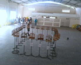 Polícia apreende pássaros durante torneio de canto 