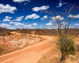 Vida de Sertanejo