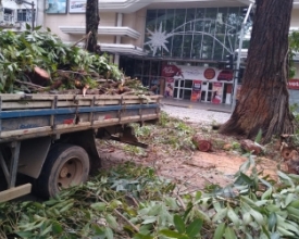 Prefeitura conclui poda de árvores da Praça Getúlio Vargas