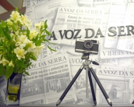 Presença e participação