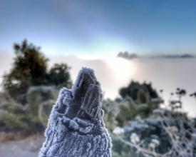 Friburgo registra zero grau na cidade e geada nas montanhas
