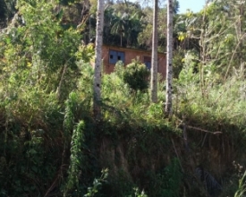 Terreno em Dona Mariana pode abrigar protetora com 157 animais