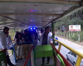 Internos da Clínica Santa Lúcia fazem passeio no "trenzinho"