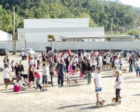 Domingo animal: Via Expressa terá a 3ª edição da Cãominhada