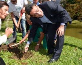 Árvore símbolo do Líbano é plantada no Country Clube