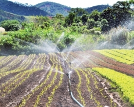 Eventos aquecem o setor agrícola de Nova Friburgo