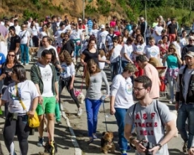 Domingo agora é dia de "cãominhada" na Via Expressa