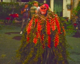 A criatividade das fantasias do folião de Rio Bonito de Cima-Lumiar  