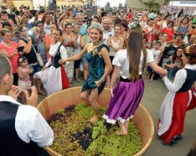 Expo Gaúcha traz a Nova Friburgo o melhor do Sul 