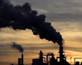 Cientista climática e de sustentabilidade fala sobre a Conferência do Clima
