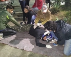 Cruz Vermelha de Nova Friburgo inicia mais um curso de primeiros socorros