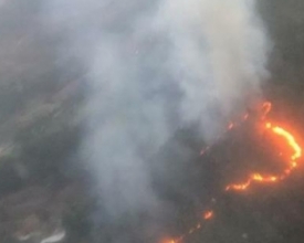 Em 15 dias, Friburgo registrou 43 casos de incêndio em matas