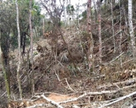 Justiça nega recurso do MPF e Friburgo continua sem escritório do Ibama