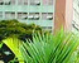 Programação da Semana Santa continua nesta quinta-feira