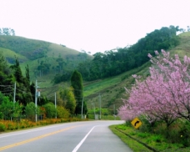 Friburgo, Teresópolis e Petrópolis criam calendário integrado de eventos