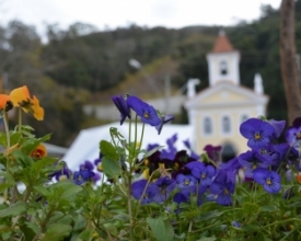 Alunos da Ceffa Flores vão plantar mudas nas jardineiras da Alberto Braune domingo