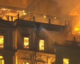 Incêndio no Museu Nacional destruiu todas as borboletas de Julius Arp