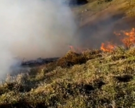 Bombeiros combatem incêndios em vegetação em 7 bairros no fim de semana
