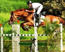 Federação Equestre convoca Matheus Garrido para o Brasileiro de Salto