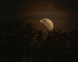 Após noite de eclipse, madrugada de ventania em Friburgo