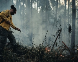 Chuva ajuda bombeiros no combate a focos de incêndio espalhados por Friburgo