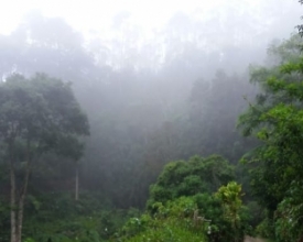 Mais duas semanas de chuva, prevê Inmet