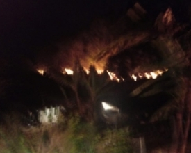 Vários focos de fogo em vegetação: a pior época do ano para os bombeiros