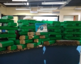 Haras em Banquete tinha 70 tabletes de maconha escondidos em baia