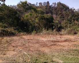 Praticantes de voo livre têm nova pista de pouso em Friburgo