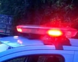 Droga é encontrada em caixa de correio no Terra Nova