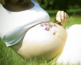 1º Festival da Barriga acontecerá nesse fim de semana