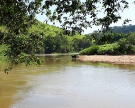 No Dia da Água, Comitê Rio Dois Rios lança documentário
