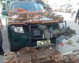 Parque dos Três Picos e Upam apreendem armas e animais silvestres